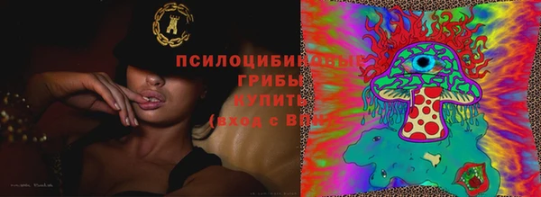 a pvp Ельня