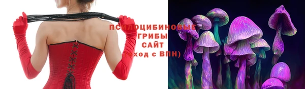 герыч Елабуга