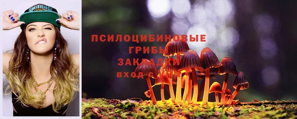 герыч Елабуга
