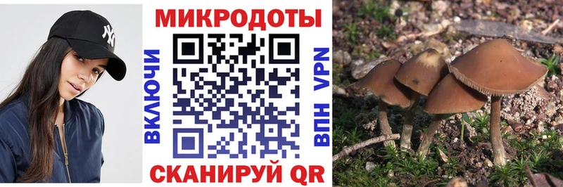 Купить где  Малгобек  Галлюциногенные грибы мицелий 